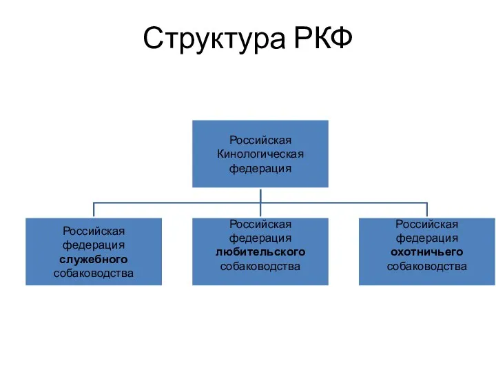 Структура РКФ