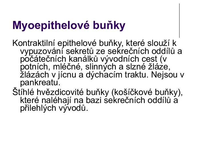 Myoepithelové buňky Kontraktilní epithelové buňky, které slouží k vypuzování sekretů ze sekrečních