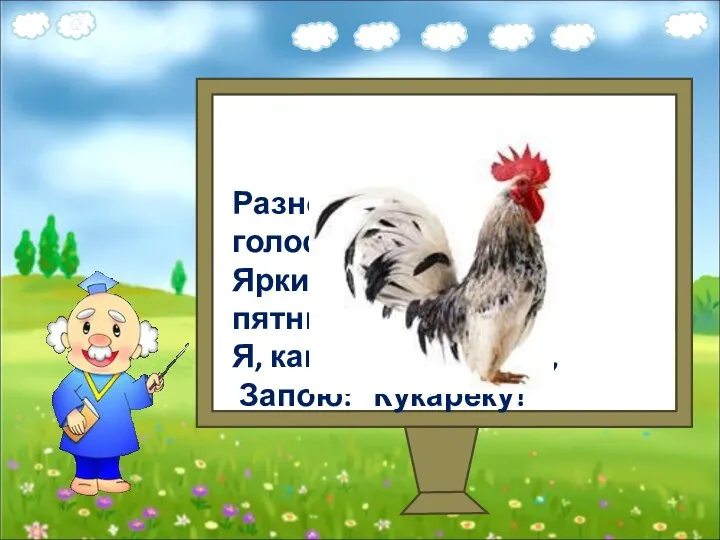 Разноцветный, голосистый, Яркий, красочный, пятнистый. Я, как встану поутру, Запою: "Кукареку!"