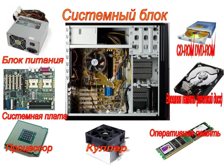 Системный блок Системная плата Блок питания Процессор Куллер Внешняя память (жесткий диск) CD-ROM DVD-ROM Оперативная память