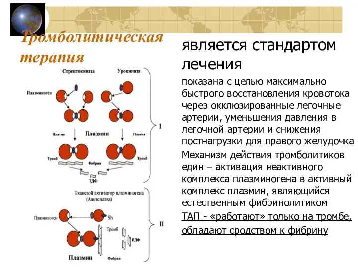 Тромболитическая терапия является стандартом лечения показана с целью максимально быстрого восстановления кровотока