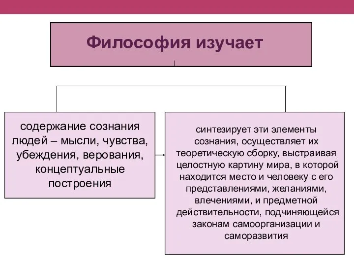 Философия изучает содержание сознания людей – мысли, чувства, убеждения, верования, концептуальные построения