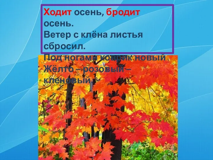 Ходит осень, бродит осень. Ветер с клёна листья сбросил. Под ногами коврик