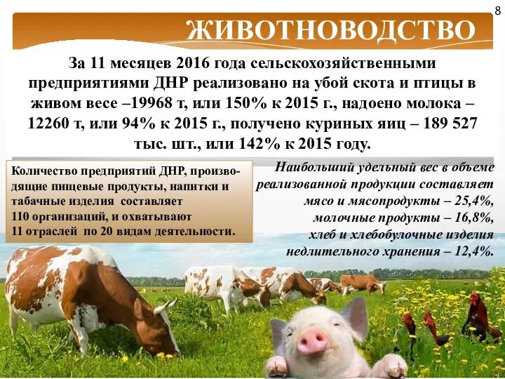 ЖИВОТНОВОДСТВО За 11 месяцев 2016 года сельскохозяйственными предприятиями ДНР реализовано на убой