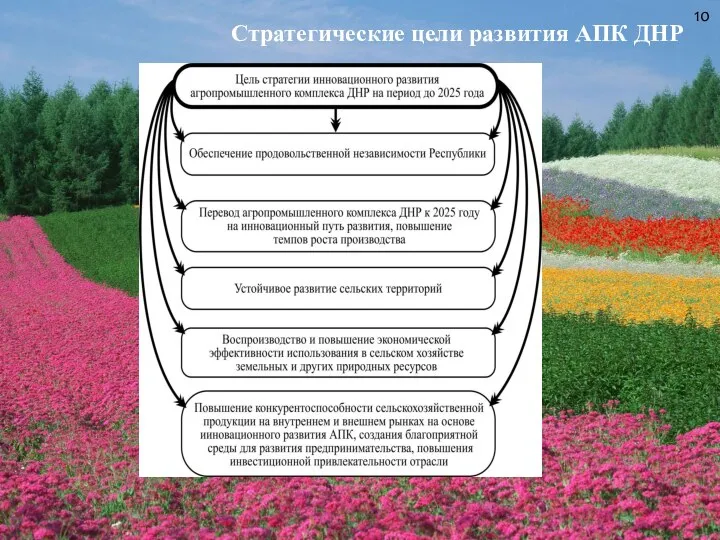 Стратегические цели развития АПК ДНР 10