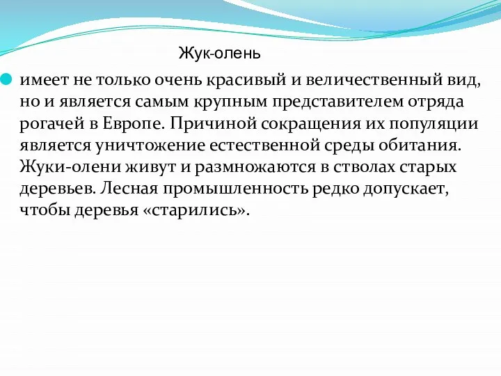 Жук-олень имеет не только очень красивый и величественный вид, но и является