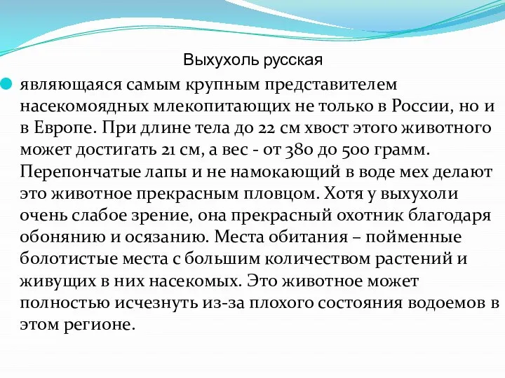 Выхухоль русская являющаяся самым крупным представителем насекомоядных млекопитающих не только в России,