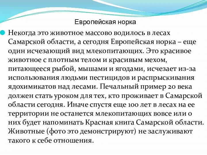 Европейская норка Некогда это животное массово водилось в лесах Самарской области, а