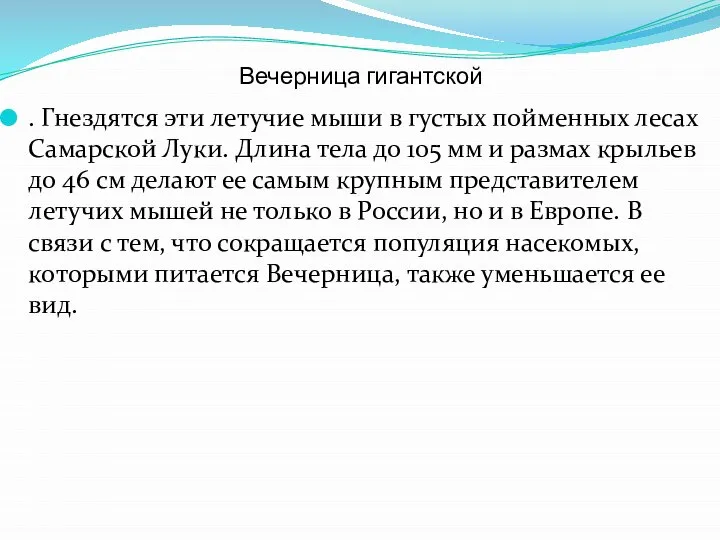 Вечерница гигантской . Гнездятся эти летучие мыши в густых пойменных лесах Самарской