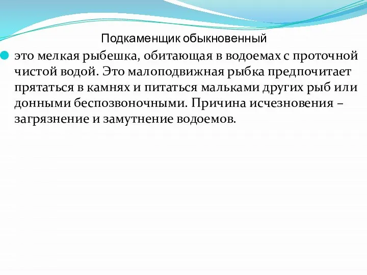 Подкаменщик обыкновенный это мелкая рыбешка, обитающая в водоемах с проточной чистой водой.