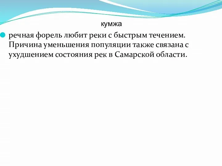 кумжа речная форель любит реки с быстрым течением. Причина уменьшения популяции также