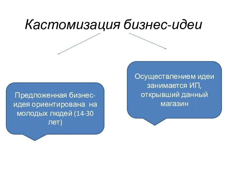 Кастомизация бизнес-идеи Предложенная бизнес-идея ориентирована на молодых людей (14-30 лет) Осуществлением идеи