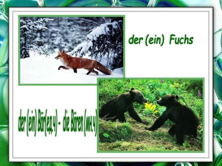 der (ein) Fuchs der (ein) Bär(ед.ч) - die Bären (мн.ч)