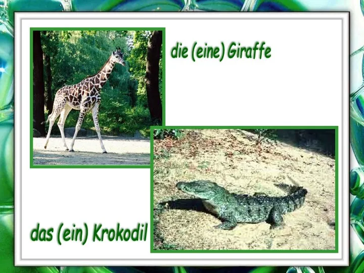 die (eine) Giraffe das (ein) Krokodil