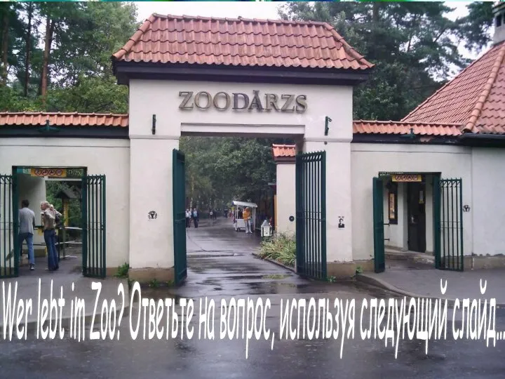 Wer lebt im Zoo? Ответьте на вопрос, используя следующий слайд…