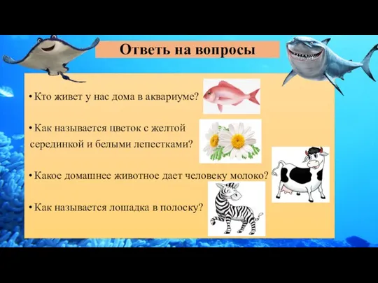 Ответь на вопросы Кто живет у нас дома в аквариуме? Как называется