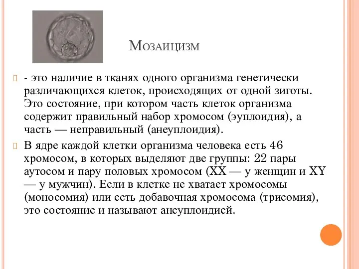 Мозаицизм - это наличие в тканях одного организма генетически различающихся клеток, происходящих