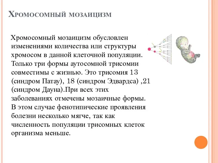 Хромосомный мозаицизм Хромосомный мозаицизм обусловлен изменениями количества или структуры хромосом в данной