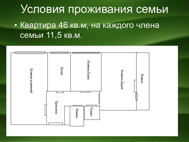 Условия проживания семьи Квартира 46 кв.м, на каждого члена семьи 11,5 кв.м.