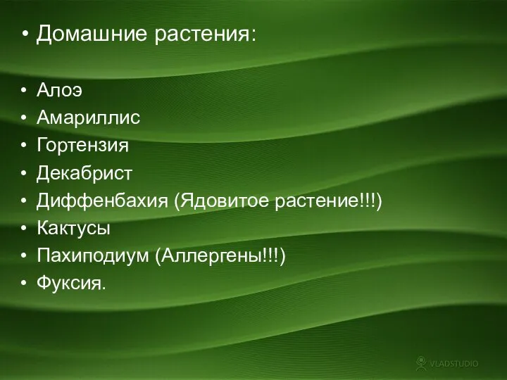 Домашние растения: Алоэ Амариллис Гортензия Декабрист Диффенбахия (Ядовитое растение!!!) Кактусы Пахиподиум (Аллергены!!!) Фуксия.