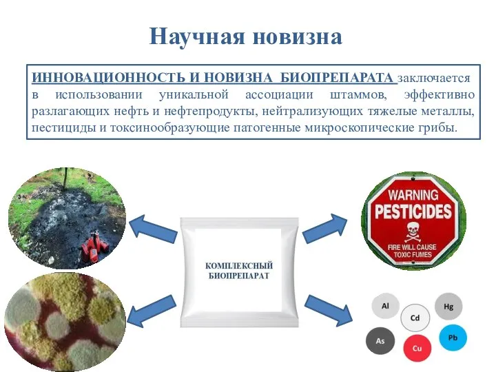 Научная новизна ИННОВАЦИОННОСТЬ И НОВИЗНА БИОПРЕПАРАТА заключается в использовании уникальной ассоциации штаммов,