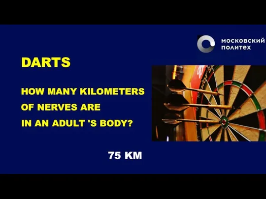 DARTS HOW MANY KILOMETERS OF NERVES ARE IN AN ADULT 'S BODY? 75 KM