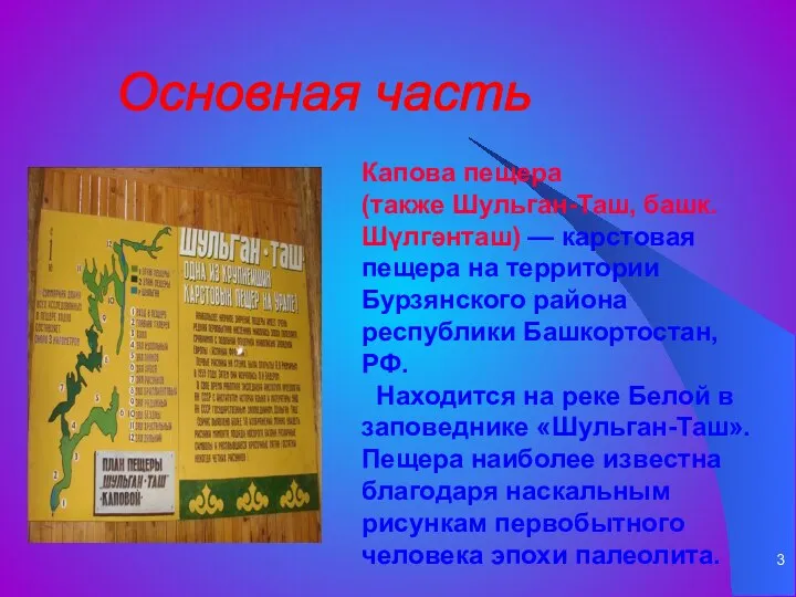 Основная часть Капова пещера (также Шульган-Таш, башк. Шүлгәнташ) — карстовая пещера на