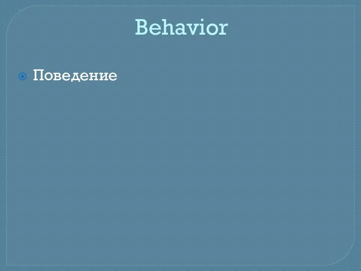 Behavior Поведение