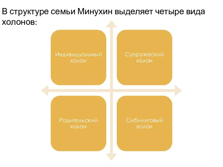 В структуре семьи Минухин выделяет четыре вида холонов: