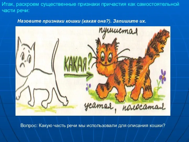 Назовите признаки кошки (какая она?). Запишите их. Вопрос: Какую часть речи мы