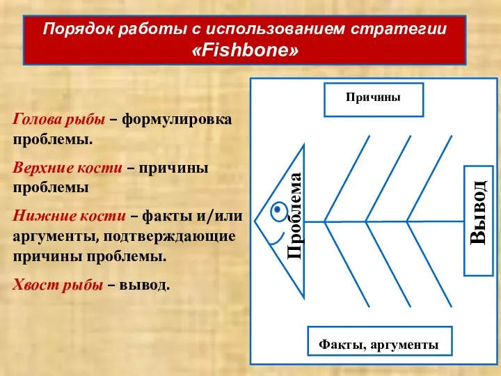 Голова рыбы – формулировка проблемы. Верхние кости – причины проблемы Нижние кости