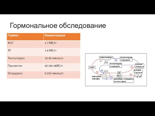 Гормональное обследование