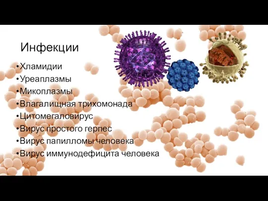 Инфекции Хламидии Уреаплазмы Микоплазмы Влагалищная трихомонада Цитомегаловирус Вирус простого герпес Вирус папилломы