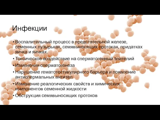 Инфекции Воспалительный процесс в предстательной железе, семенных пузырьках, семявыносящих протоках, придатках яичка