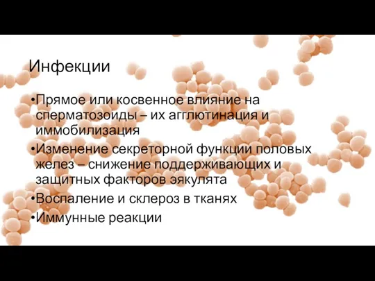 Инфекции Прямое или косвенное влияние на сперматозоиды – их агглютинация и иммобилизация