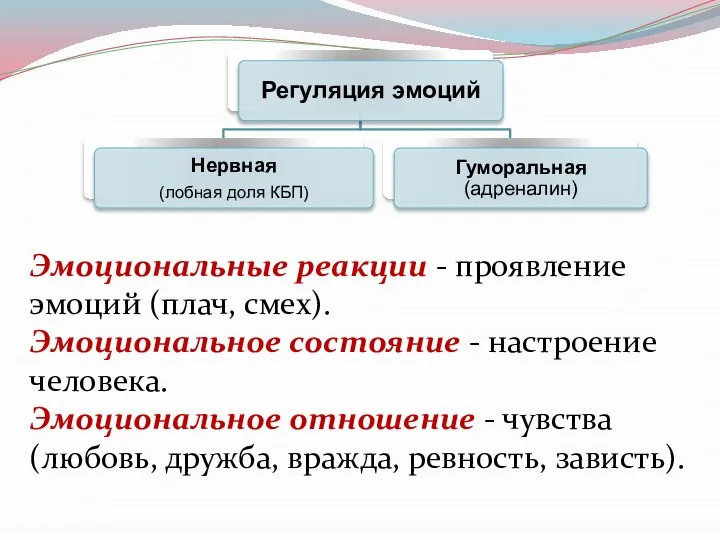 Эмоциональные реакции - проявление эмоций (плач, смех). Эмоциональное состояние - настроение человека.