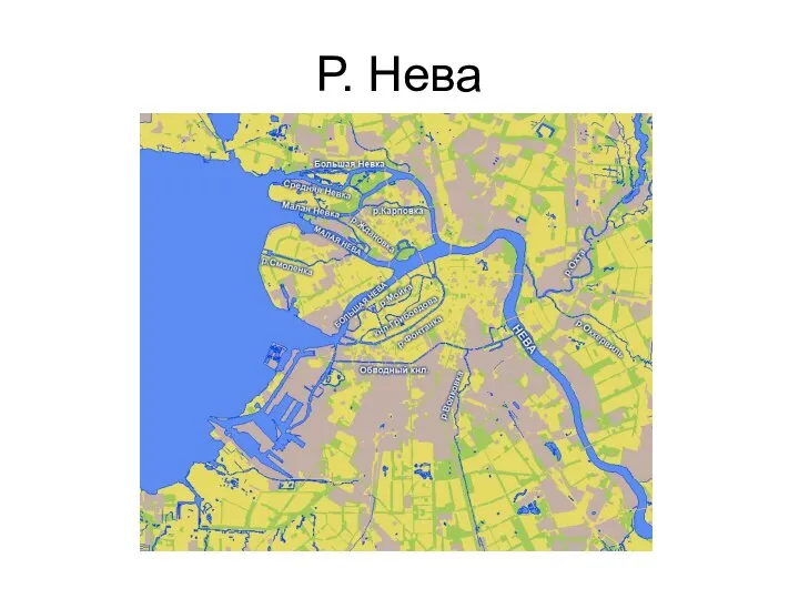 Р. Нева