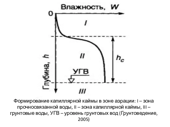 Формирование капиллярной каймы в зоне аэрации: I – зона прочносвязанной воды, II