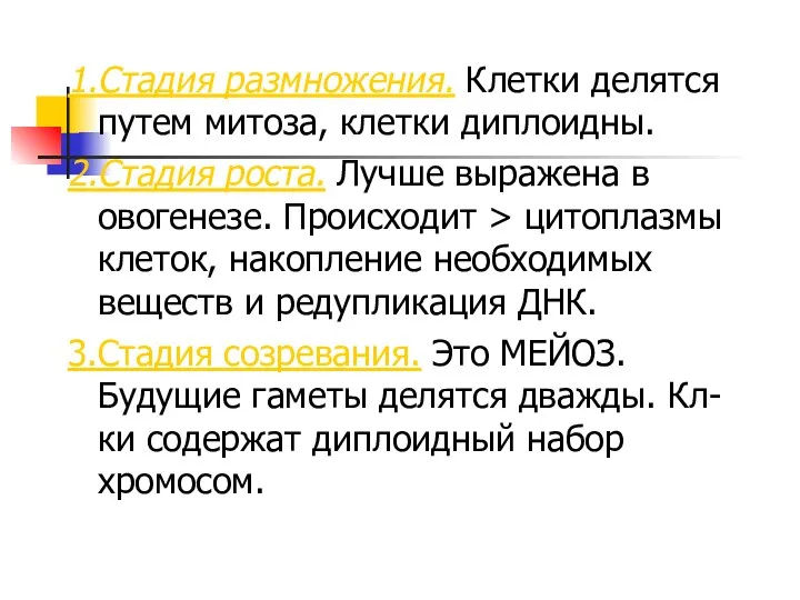 1.Стадия размножения. Клетки делятся путем митоза, клетки диплоидны. 2.Стадия роста. Лучше выражена