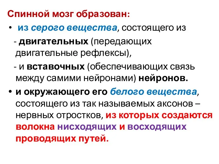 Спинной мозг образован: из серого вещества, состоящего из - двигательных (передающих двигательные