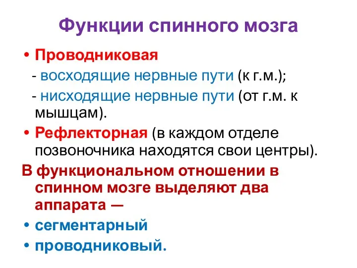 Функции спинного мозга Проводниковая - восходящие нервные пути (к г.м.); - нисходящие