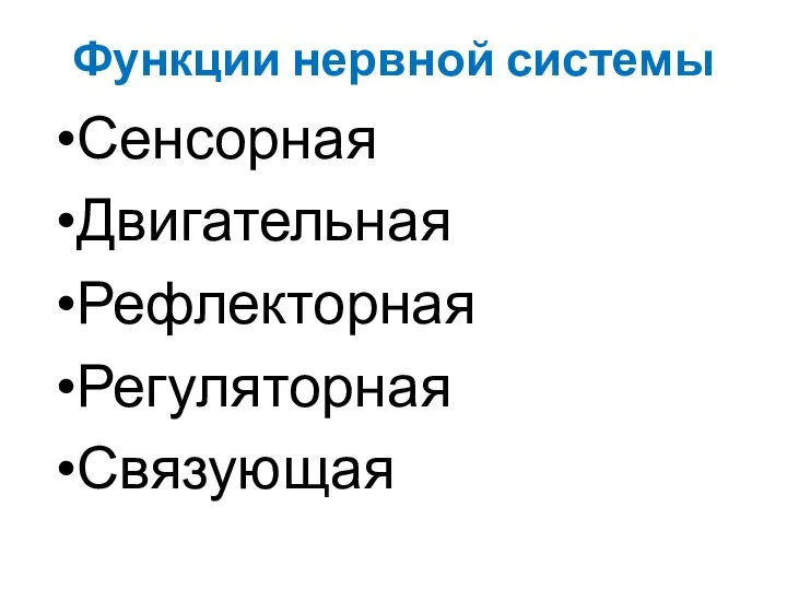 Функции нервной системы Сенсорная Двигательная Рефлекторная Регуляторная Связующая