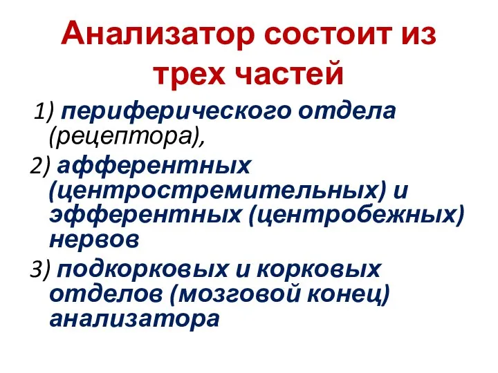 Анализатор состоит из трех частей 1) периферического отдела (рецептора), 2) афферентных (центростремительных)