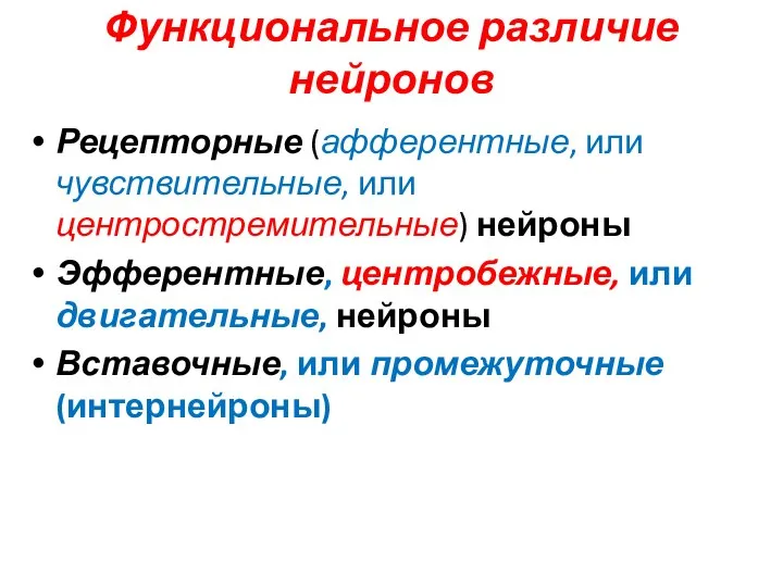 Функциональное различие нейронов Рецепторные (афферентные, или чувствительные, или центростремительные) нейроны Эфферентные, центробежные,