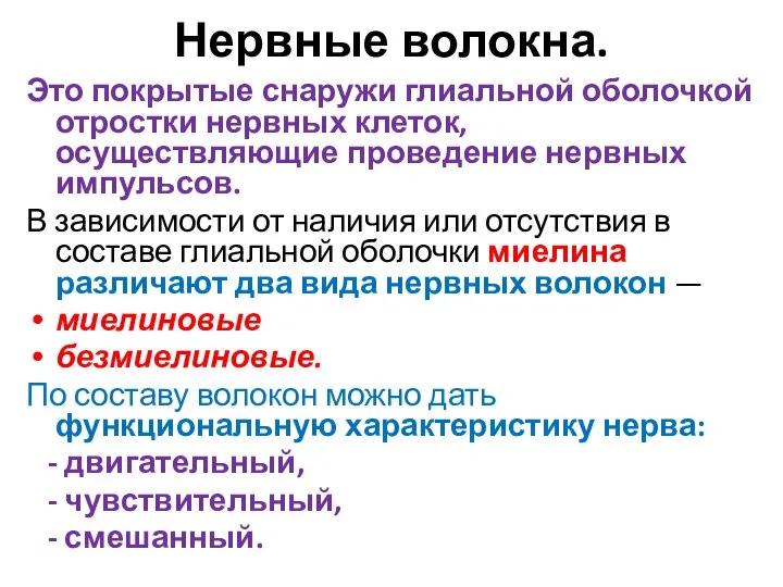 Нервные волокна. Это покрытые снаружи глиальной оболочкой отростки нервных клеток, осуществляющие проведение