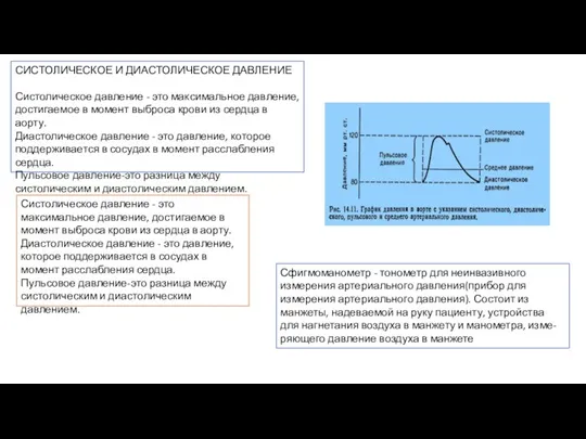 СИСТОЛИЧЕСКОЕ И ДИАСТОЛИЧЕСКОЕ ДАВЛЕНИЕ Систолическое давление - это максимальное давление, достигаемое в