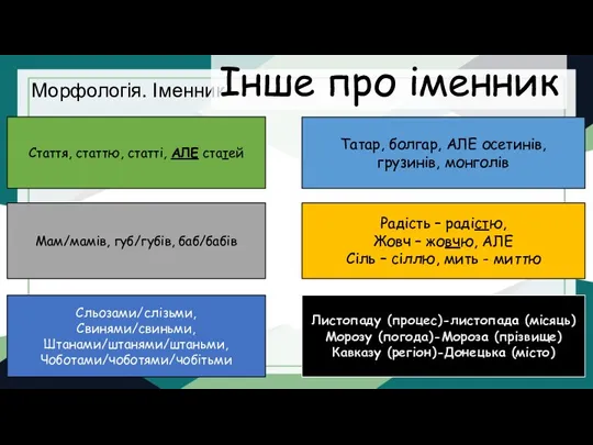 Морфологія. Іменник Інше про іменник Стаття, статтю, статті, АЛЕ статей Мам/мамів, губ/губів,