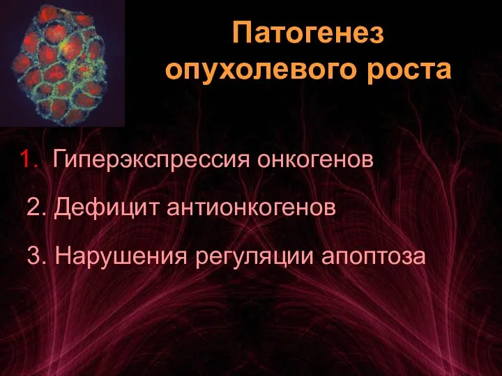 Патогенез опухолевого роста Гиперэкспрессия онкогенов 2. Дефицит антионкогенов 3. Нарушения регуляции апоптоза