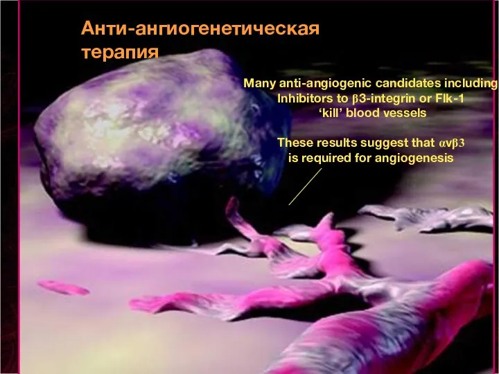 Many anti-angiogenic candidates including Inhibitors to β3-integrin or Flk-1 ‘kill’ blood vessels