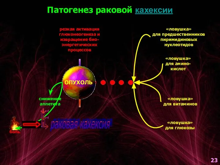 Патогенез раковой кахексии ОПУХОЛЬ боль снижение аппетита «ловушка» для предшественников пиримидиновых нуклеотидов